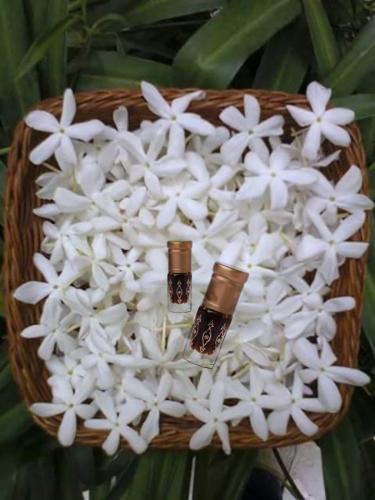 كمبودي روز بزهرة الياسمين الهندي