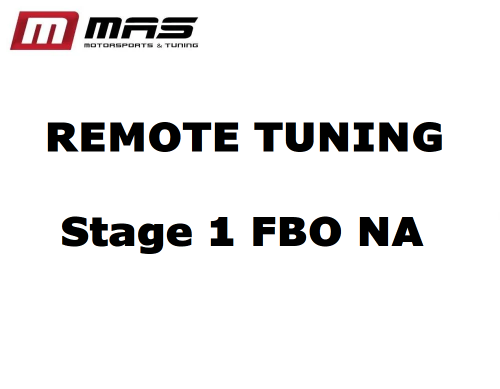 remote tuning service natural aspirated engines