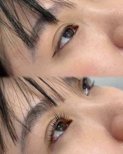 بوكس رفع الرموش الكوري الاحترافي للاستخدام المنزلي...