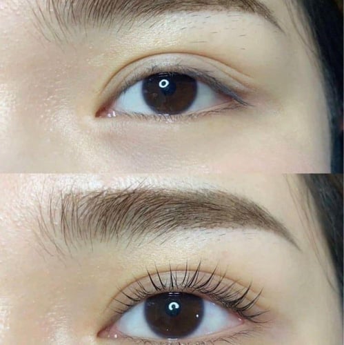 بوكس رفع الرموش الكوري الاحترافي للاستخدام المنزلي...