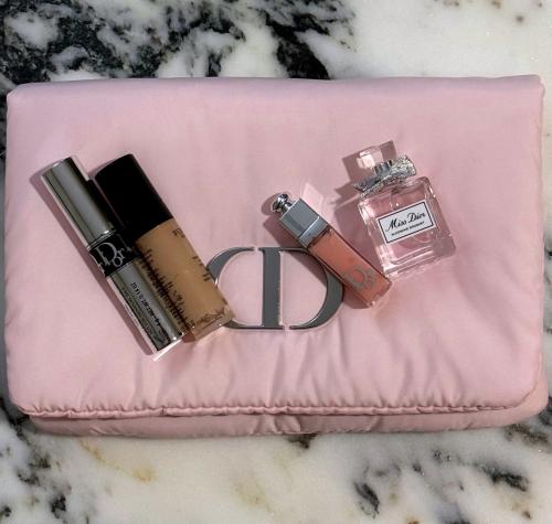 Dior beauty bag