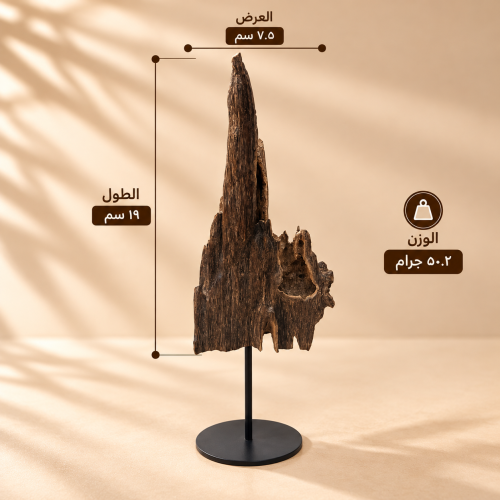كسرة عود هندي ناجلاند سوبر مرتفع وزنها 50.2 جرام