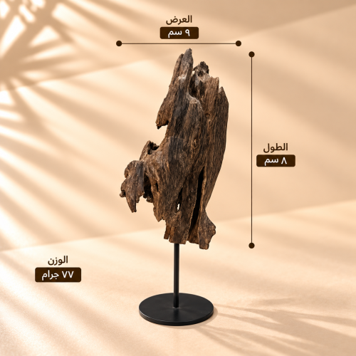كسرة عود هندي ناجلاند سوبر مرتفع وزنها 77 جرام