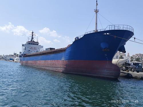 Bulk Carrier 3803 T For Sale