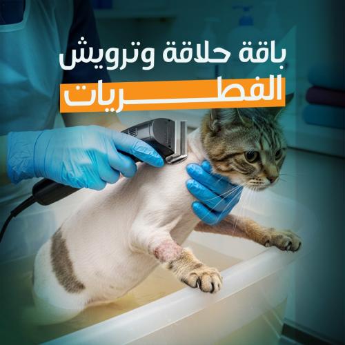 Antifungal Grooming & Shower Package