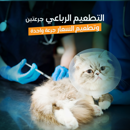 Quadrivalent & Rabies Vaccine