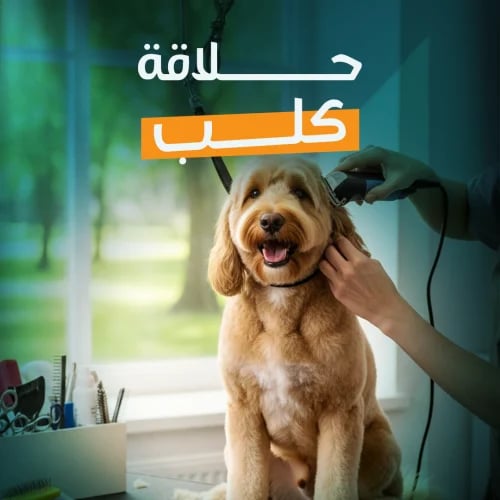 Grooming Package