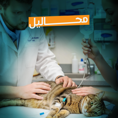 Fluid Therapy