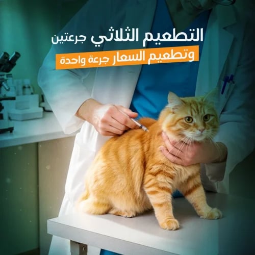 Triple & Rabies Vaccine
