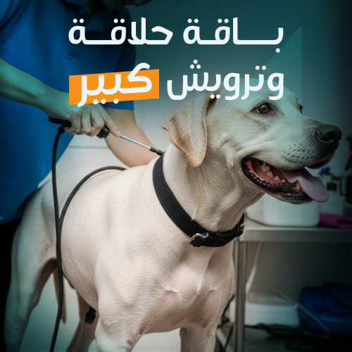 Grooming & Shower Package (Large)
