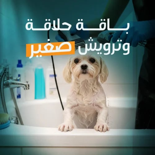Grooming & Shower Package (Small)