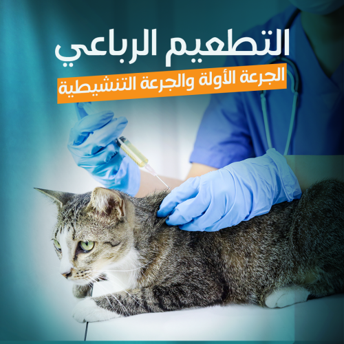 Quadrivalent Vaccine