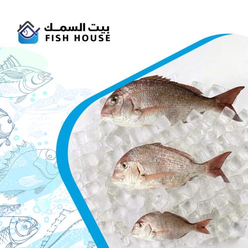 سمك عندك طازج-كبير