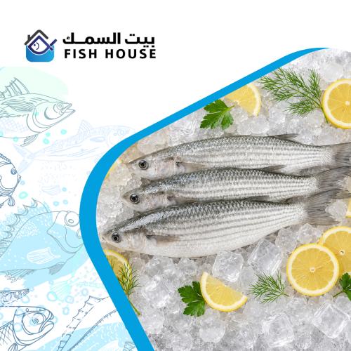 سمك بوري مصري طازج