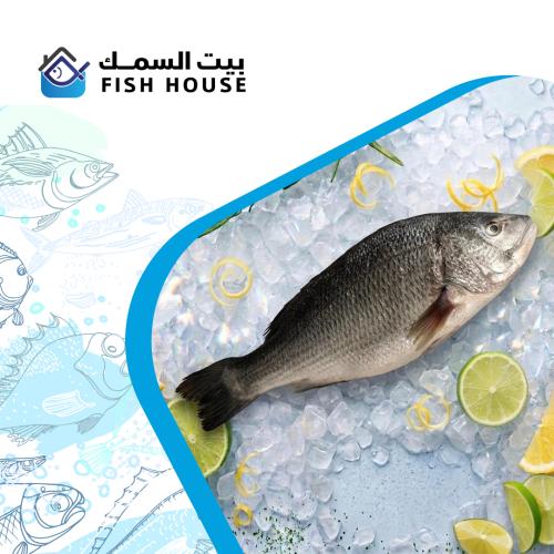 سمك سبيطي طازج