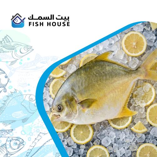 سمك بنت الطير