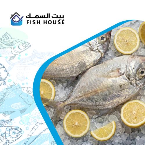 سمك حمام خضره-كيلو