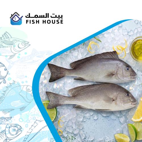 سمك جنم (جمجام) طازج - كيلو