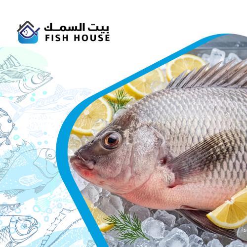 سمك بلطي طازج