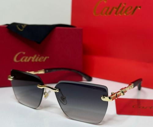 نظارات كارتييه (Cartier) مع الملحقات.