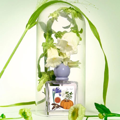 عطر نسائي طويل الأمد