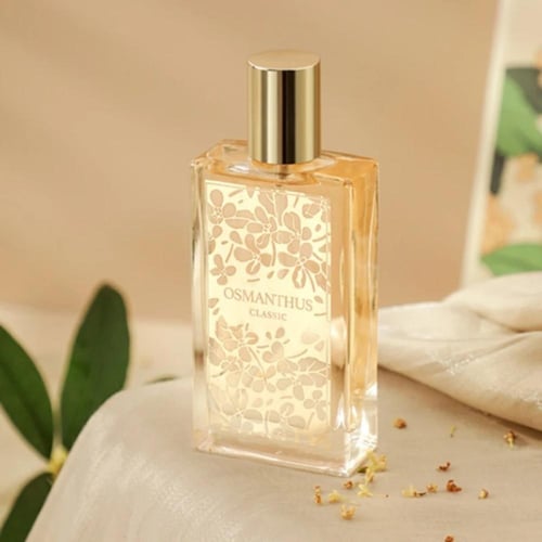 osmanthus classic