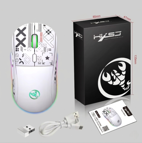 T90 Gaming mouse from HXSJ company with RGB lighting (white)