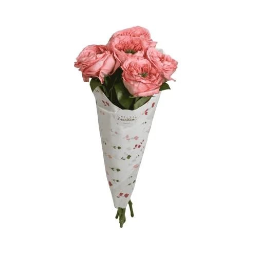جاردن روز - Garden Rose وردي (اخضر)