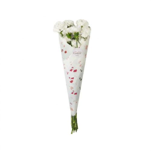 قرنفل - Carnation أبيض