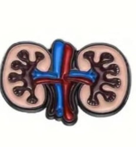 مجموعات بروشات صغير دبوس طبية للطب