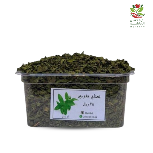 نعناع مغربي