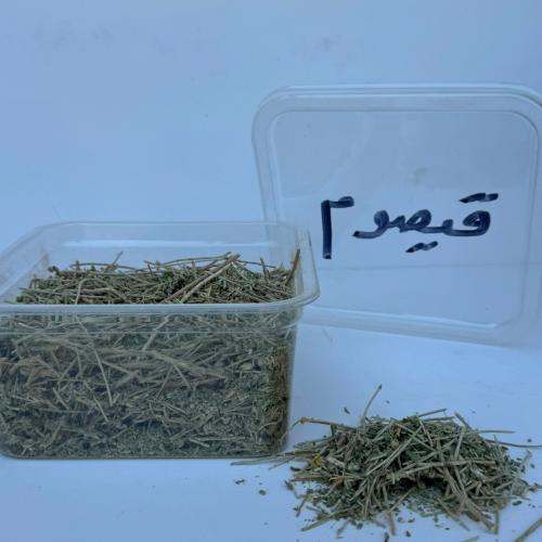 قيصوم