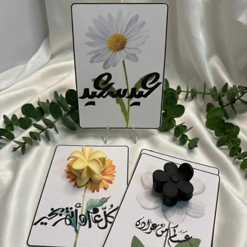ثيم مع شباصات شعر