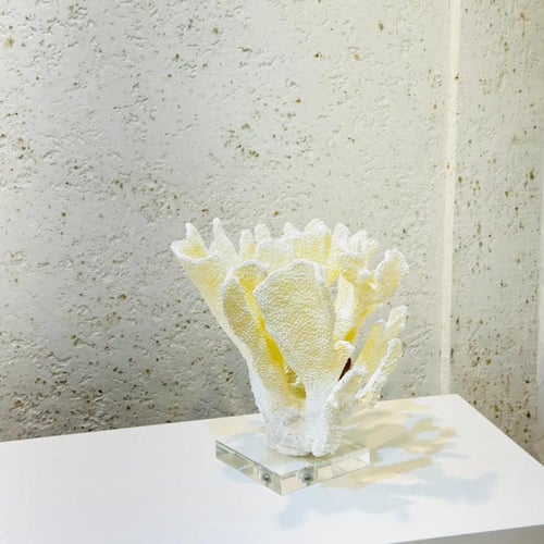 قطعة ديكور مستوحاة من جمال الشعاب المرجانية بتصميم...