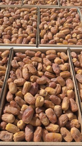 رشودية فاخرة