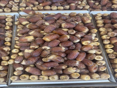 صقعي ملكي 5 كجم