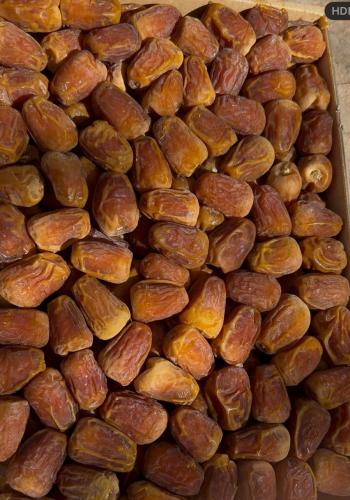 سكري جلكسي (حبه كبيرة)