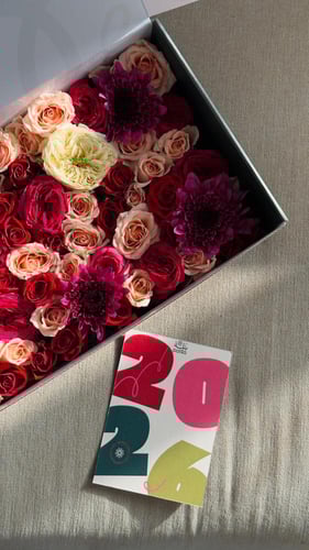 بوكس نهاية السنة