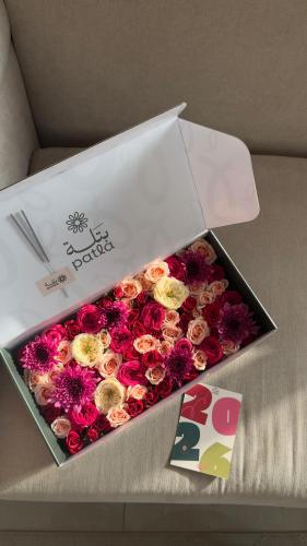 بوكس نهاية السنة