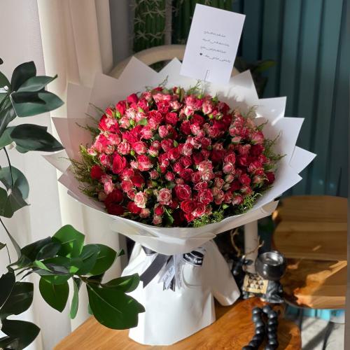 باقة ألوان الحياة