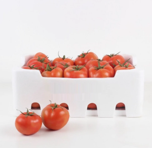 طماطم فلين كبير حبة كبيرة