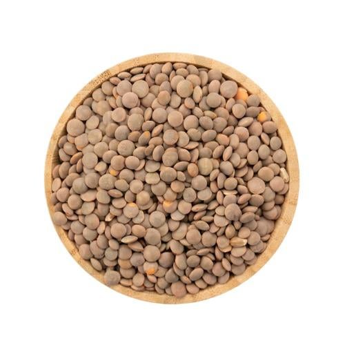 عدس بني بالكيلو