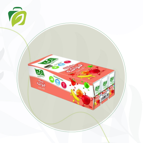 عصير ربيع فواكه مشكله 120 مل - كرتون 18 عبوة