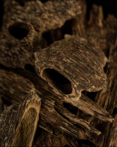 عود كلمنتان مالينو