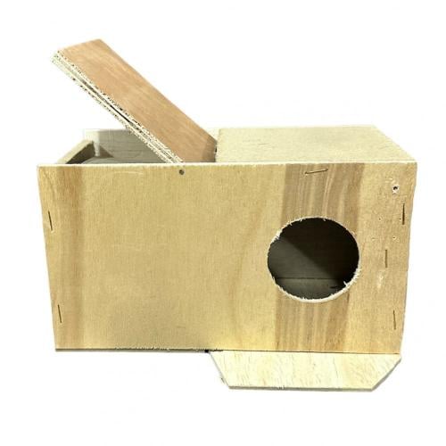 بياضة روز و كروان