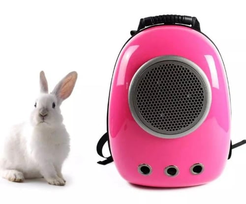 شنطة بوكس للحيوانات الاليفة الصغيرة