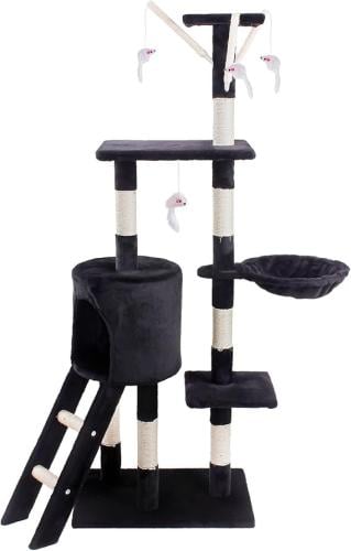 خداشة كبيرة للقطط