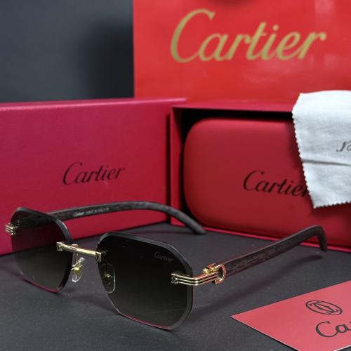 نضارة كارتير رجالية