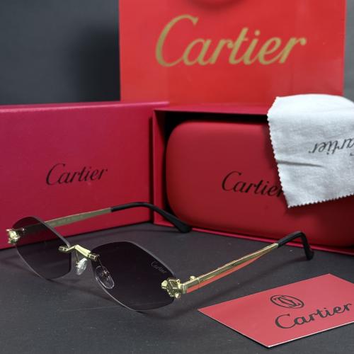 نضارة كارتير رجالية