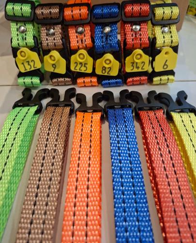 Numbers of sheep collars